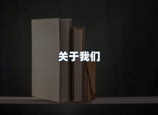关于我们
