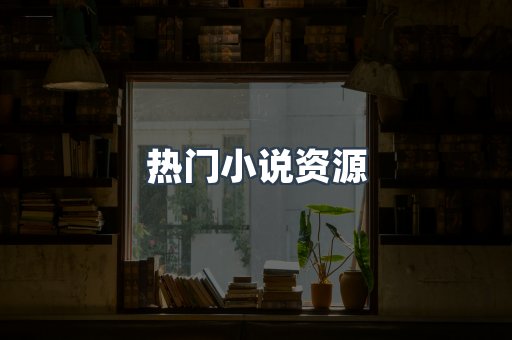 热门小说资源